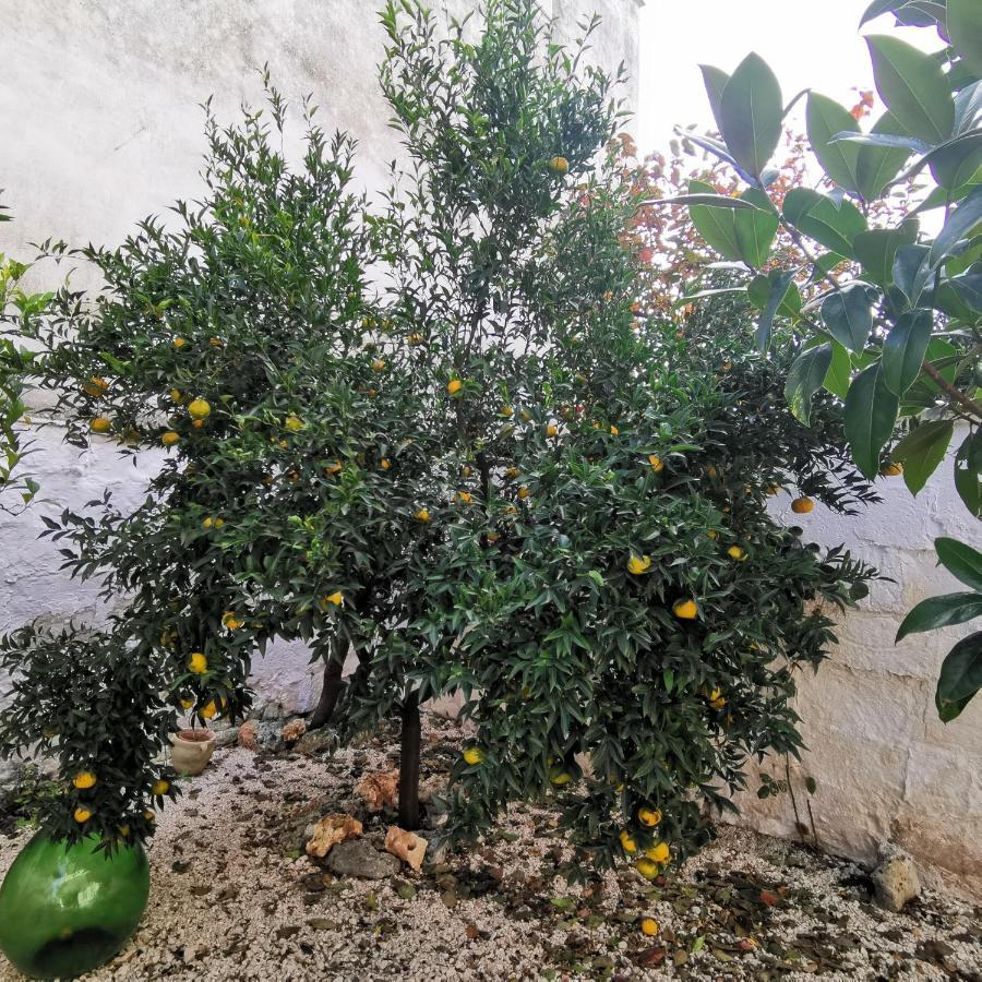 蒙塔尔巴诺Casa Magnolia别墅 外观 照片